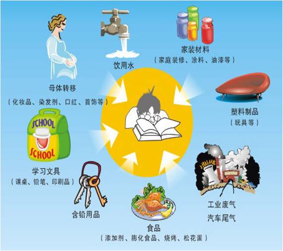 91视频网下载