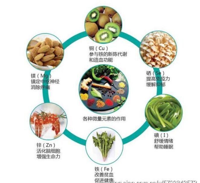 全自動91视频下载污分析頭發檢測的結果