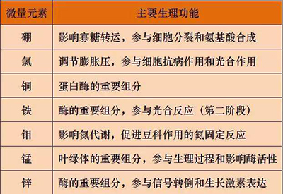 全自動91视频网下载廠家微量元素的對人體的生理作用